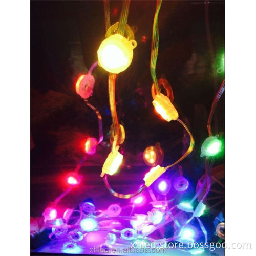 Permanent Intelligent Indoor/Outdoor Red Blue Yellow Christmas LED Decorative Light String